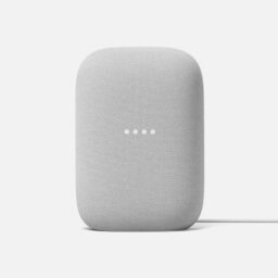 Google Nest Smart Audio